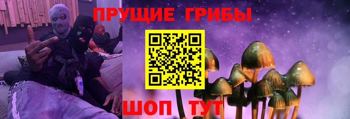 Псилоцибиновые грибы мицелий  Вход с VPN  Апшеронск 